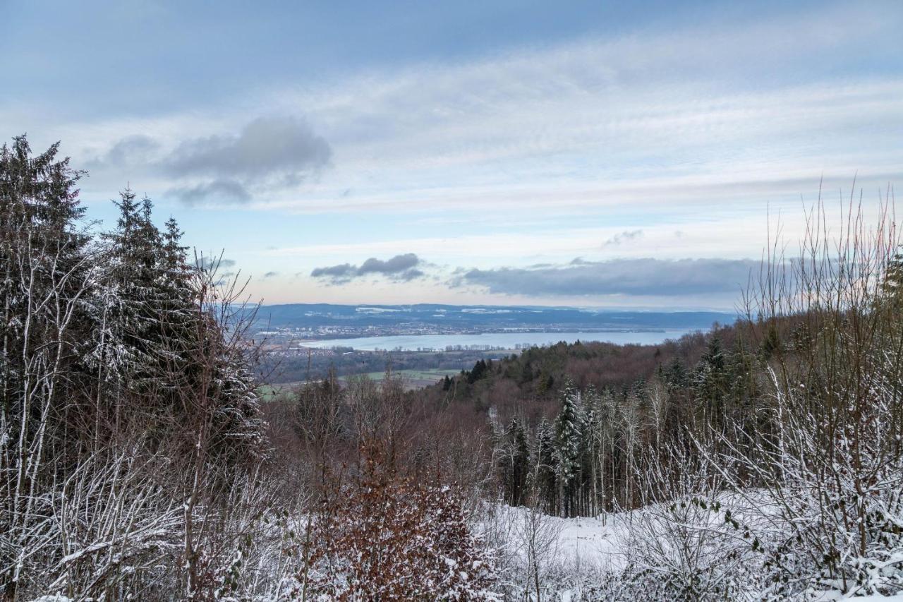 Ferienwohnung Gebhart Ohningen Bagian luar foto