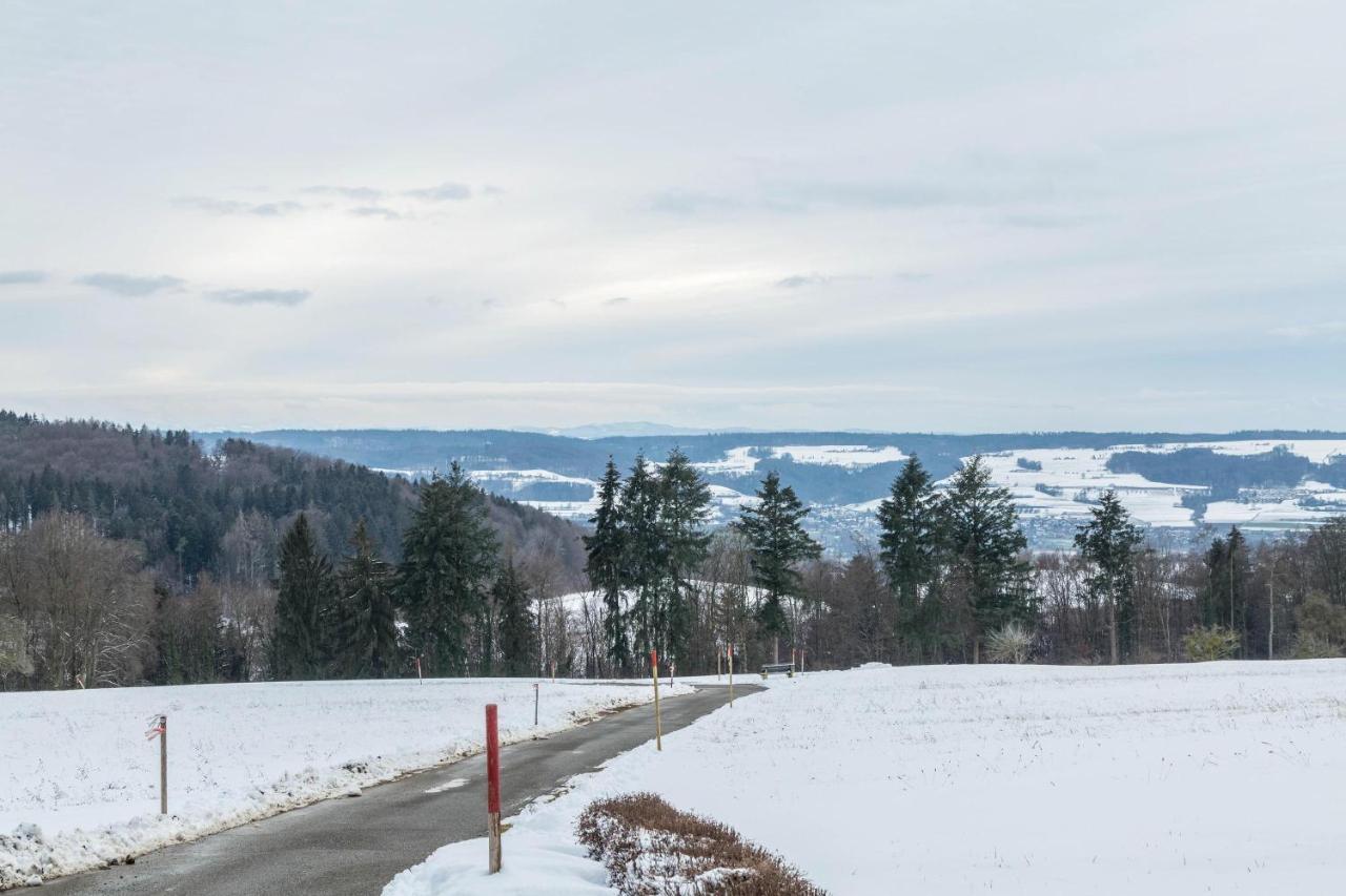 Ferienwohnung Gebhart Ohningen Bagian luar foto